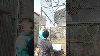 Download lagu Jannat me jane ki dua #dua #wazifa #allah #jummah #urdu #surahrehman #ameen mp3 Download lagu Jannat me jane ki dua #dua #wazifa #allah #jummah #urdu #surahrehman #ameen mp3