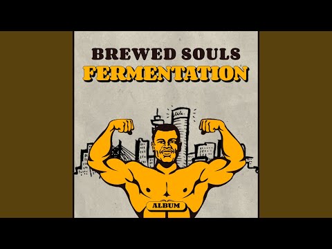 Fermentation (Original Mix)