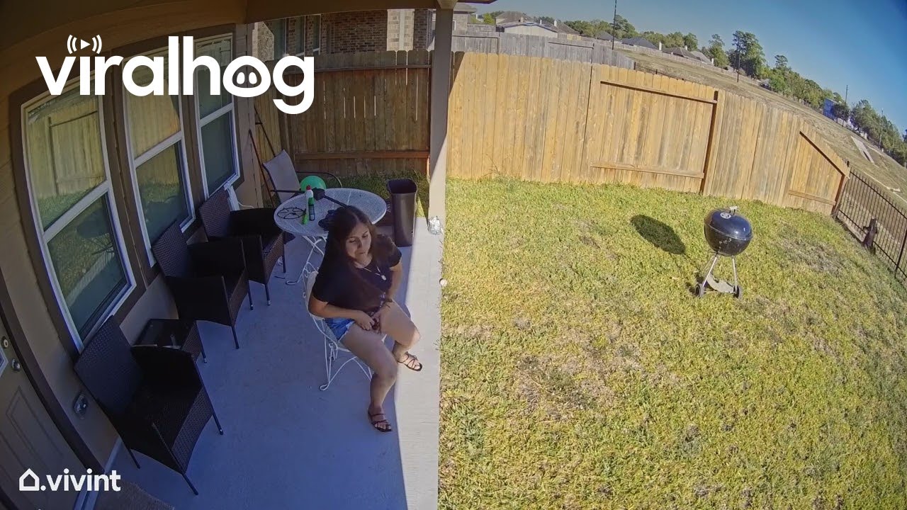 Neighbor's Dog Jumped My Fence || ViralHog