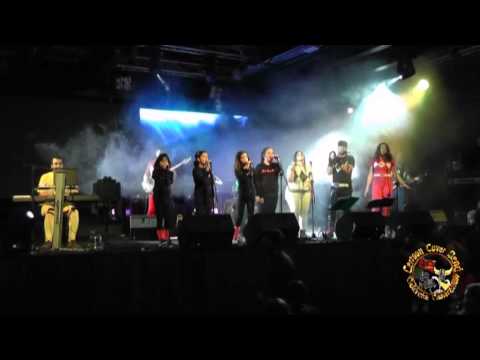 BACK to the BIM BUM BAND