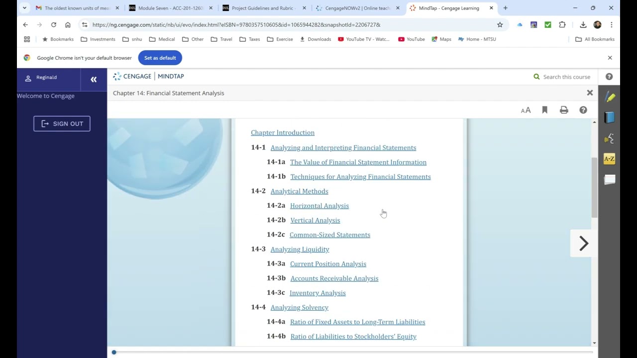 SNHU ACC 201 Module Seven