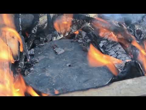 How to Extract Oil from Birch Bark - Bushcraft and Survival