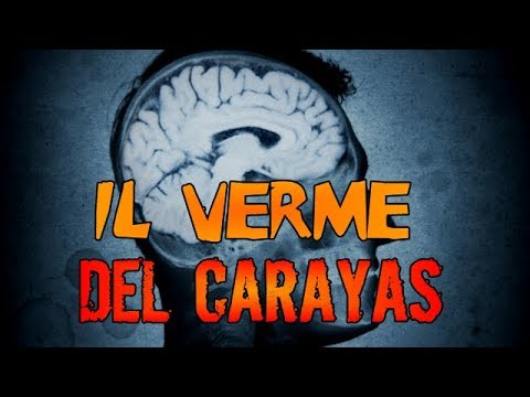 Quale erba contro parassiti Il garofano da parassiti come accettare al bambino
