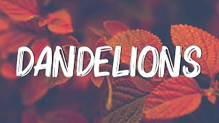 Download lagu Dandelions - Ruth B. (Lyrics) mp3