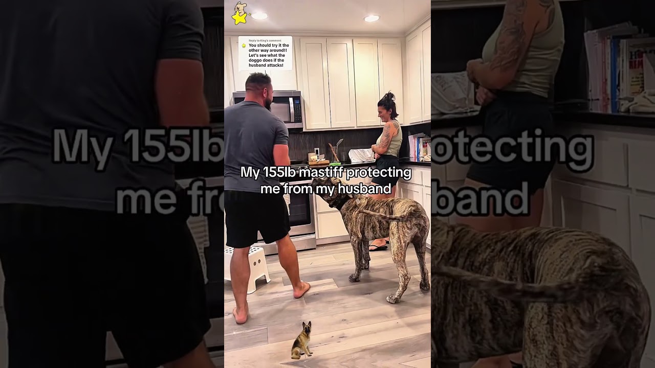 Stay away from forbidden territory #foryou #dog #love