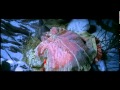 The Myth ดาบทะลุฟ้า ฟัดทะลุเวลา พากย์ไทย