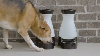 PetSafe Healthy Pet Food & Water Stations