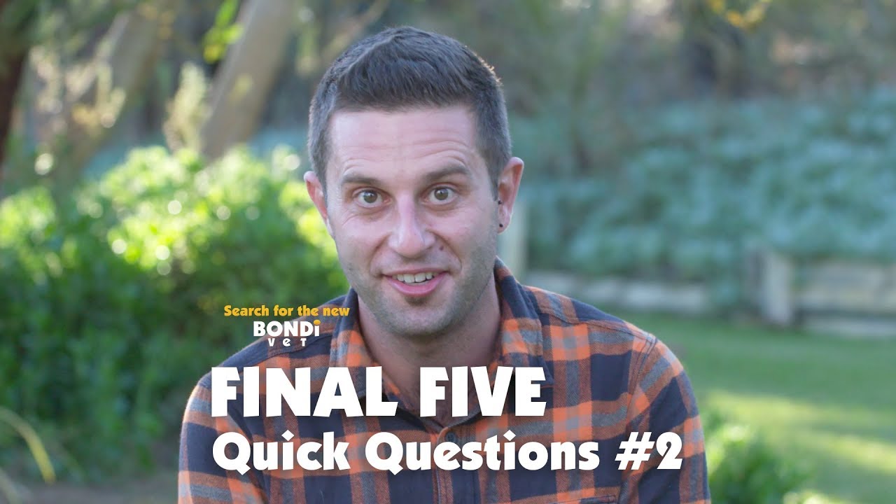 FINAL FIVE - Quick Questions #2