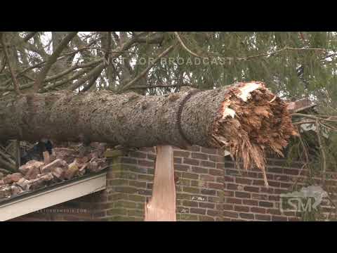 02-18-2022 Lexington, KY Tree on roof 58 MPH Wind Gust