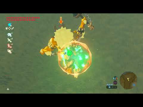 Legend of Zelda Breath of the Wild - A Gold Lynel Beat Down