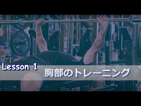 体育学科 胸部のエクササイズ（ベンチプレスとダンベルフライ）