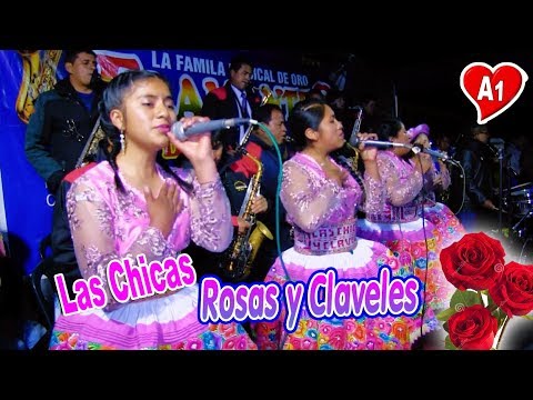 Las Chicas Rosas y Claveles - Primicias 2021