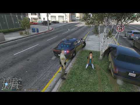 LSPDFR Live! - Undercover Units