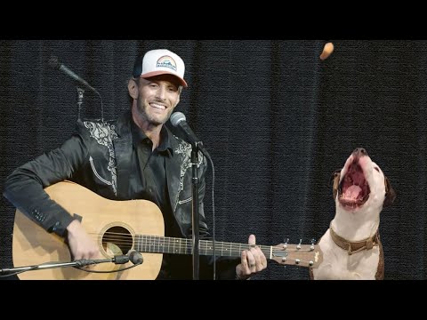 The Anxious Dog Song - Josh Wolf