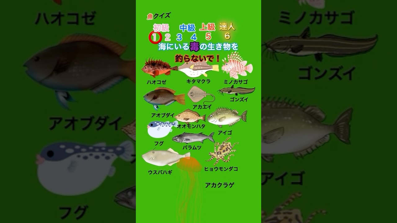 毒の魚を釣らないで！【クイズ】#暇つぶし#クイズ#ミニゲーム#魚釣り