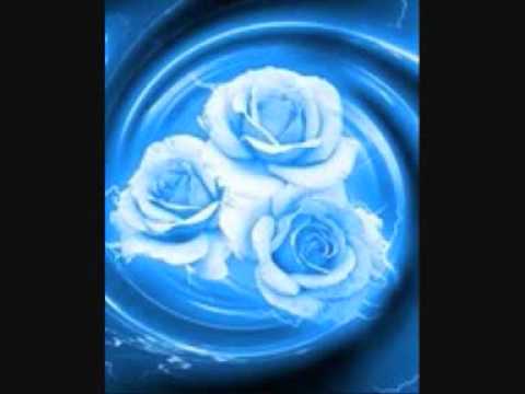 Drazen Zecic i grupa banana Zivi danas 2010