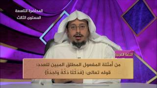 صورة المحاضرة 9 - اللغة العربية - المستوى الثالث - د. عبدالله مسملي - المفعول المطلق (تعريفه، وأحكامه)