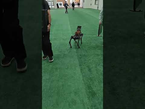 Aliengo Review Video 3