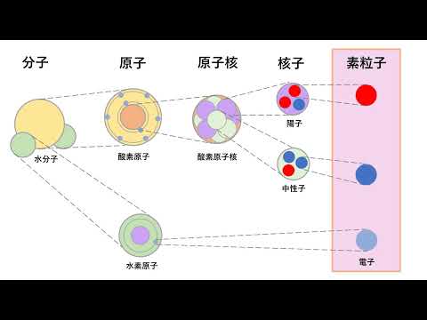 ストレンジネス (S) と電荷 (Q) によって分類された 10 個のスピン 3/2 バリオン