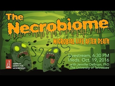 The Necrobiome: Microbial Life After Death