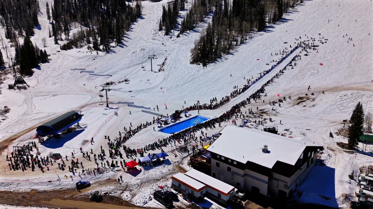 Aerial clip