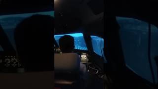A320 Level D Sim landing