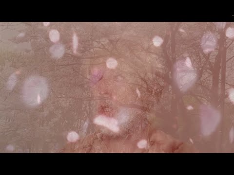 Video thumbnail for Clearer