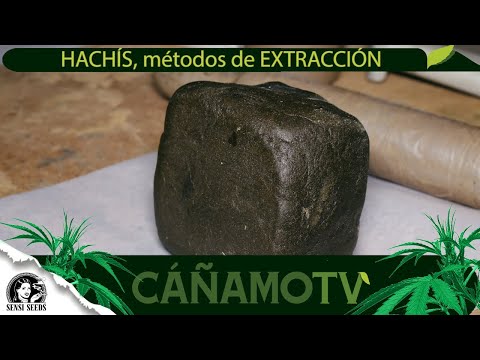 HACHÍS, métodos de EXTRACCIÓN en seco (cómo hacer hash)