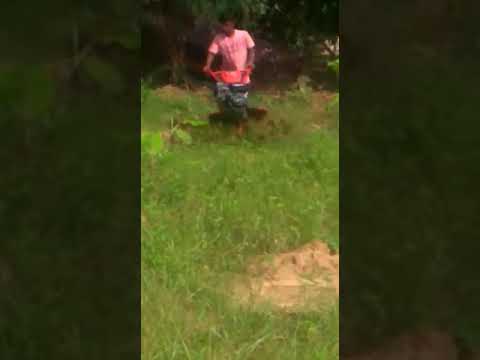 Power weeder Xylem ss 203