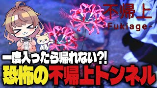 不帰上トンネルって知ってますか？