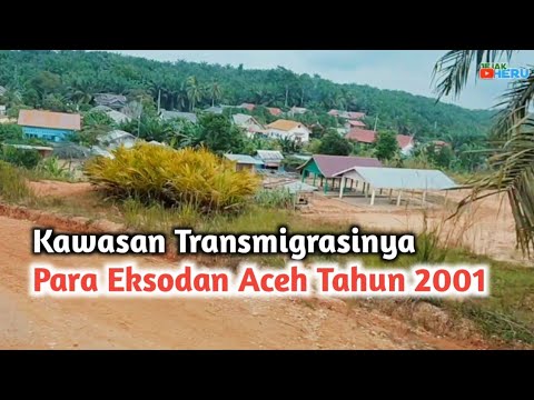 Kawasan Transmigrasi Regunas SP 07 Kabupaten Tebo - Jambi