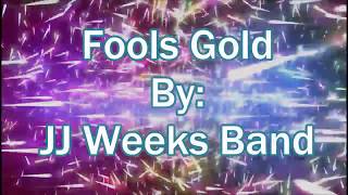 JJ Weeks Band Fools Gold (Lyric Video)