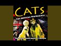 Grizabella the Glamour Cat