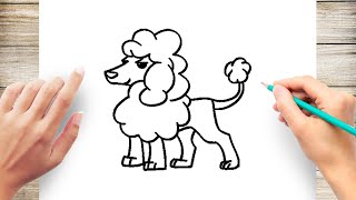 How To Draw poodle Step by Step