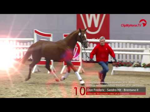 10  Don Frederic - Sandro Hit - Brentano II