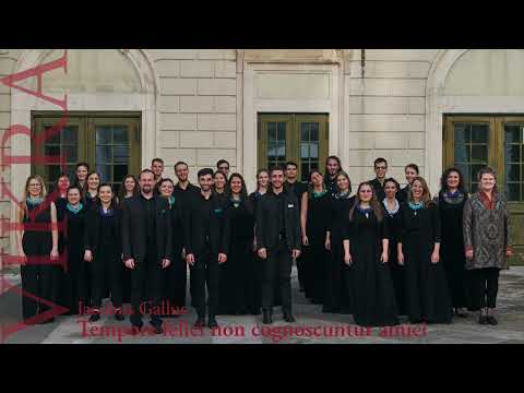 VIKRA - J. Gallus, Tempore felici non cognoscuntur amici, condr. Petra Grassi