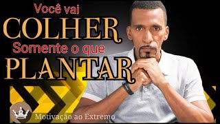 Voc Colhe Somente o que Plantou - Rick Chesther! Motivao ao Extremo - Segredos do Sucesso