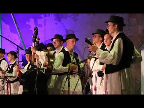 Cross-border Croatian Cultural Heritage in Baranya/Baranja