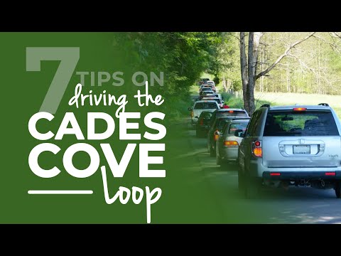 Cades Cove Loop: 7 tips including how long it takes