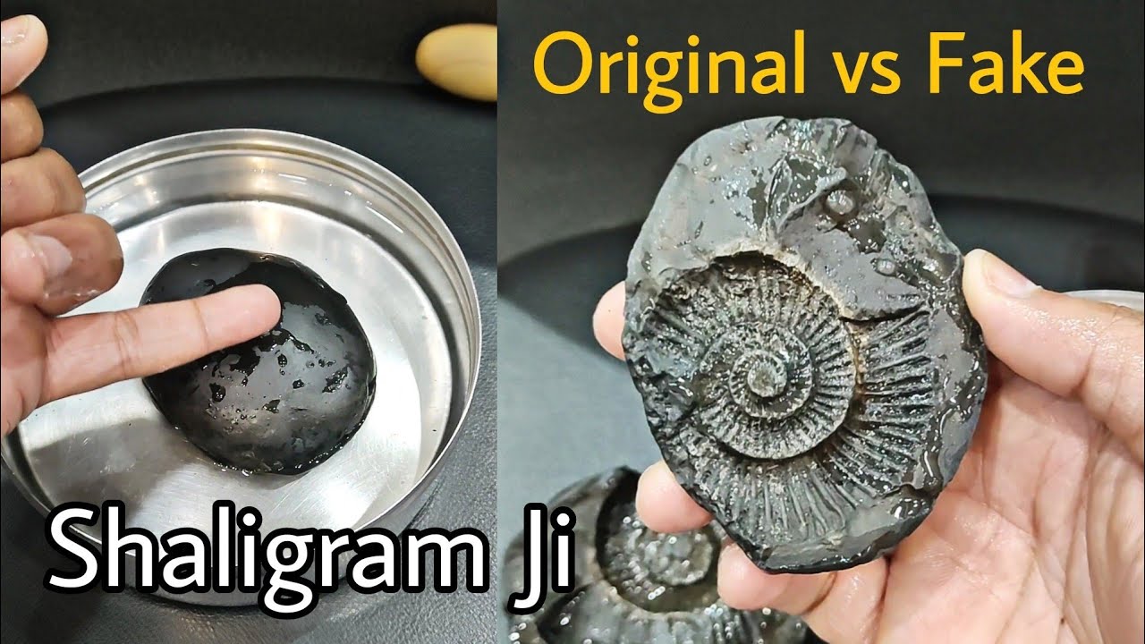 Original Shaligram Ji | Shaligram Ki Pehchan | Original vs Fake Test Shaligram Stone