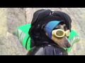 Worlds First Wingsuit BASE Jumping Dog - YouTube