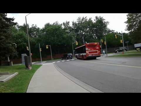 TTC Orion VII NG Diesel 8208 in New Livery
