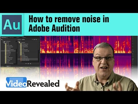 Introduction to Adobe Audition