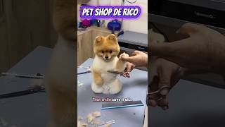 PET SHOP DE RICO. #trend #videos #dog
