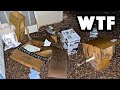 Creepy Backyard Mystery
