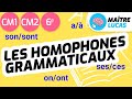 Homophones grammaticaux CM1 - CM2 - 6ème - Cycle 3 - Français - Grammaire