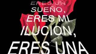 Desde que te amo los tucanes