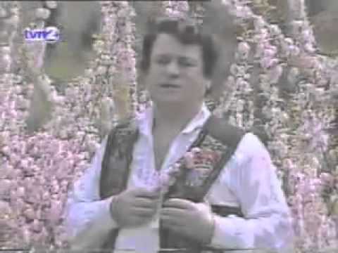 Ion Dolanescu - Ma bate vantul, ma bate