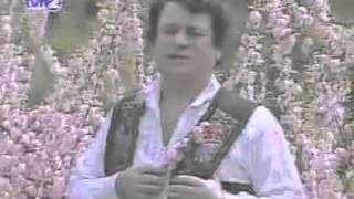 Download lagu Ion Dolanescu - Ma bate vantul, ma bate mp3