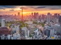 THE BIGGEST CITIES In The World TOP 5